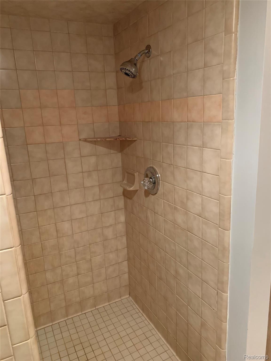 4859 Crooked Lake Road Howell, MI 48843 - Photo 52 of 90 Basement shower with corner shelf and fresh ceramic tile