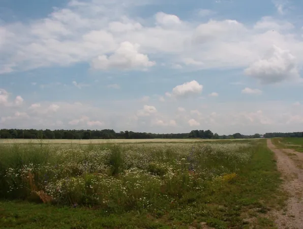 $110,000 | 2154 17 Mile Road, Unit PARCEL A, Kent City, MI 49330