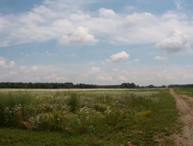 $110,000 | 2154 17 Mile Road, Unit PARCEL A, Kent City, MI 49330