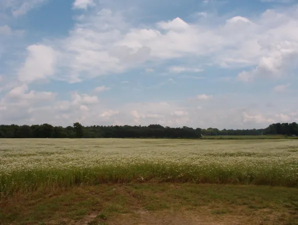 $110,000 | 2154 17 Mile Road, Unit PARCEL A, Kent City, MI 49330