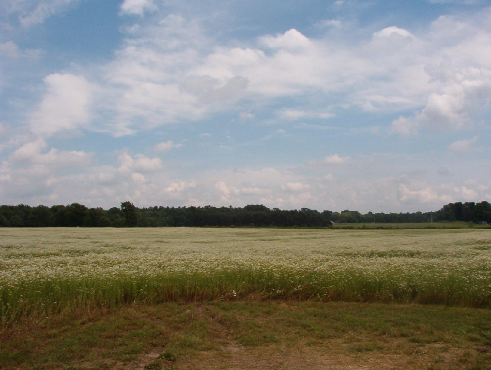 2154 17 Mile Road, Unit PARCEL A Kent City, MI 49330 - Photo 3 of 4 im000554