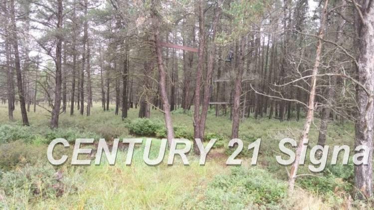 West Huron Road Au Gres, MI 48703 - Photo 5 of 21