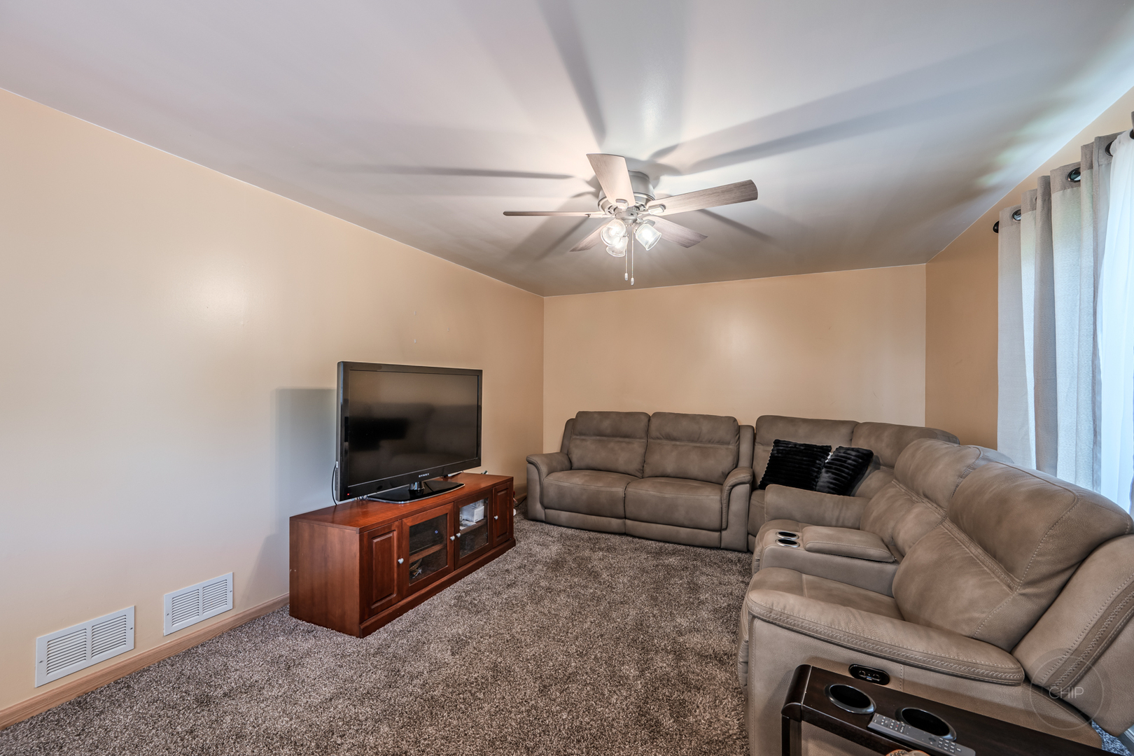 1419 Ridge Road South Elgin, IL 60177 - Photo 15 of 65