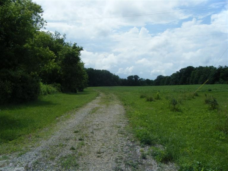 11620 South Tripp Road Waldron, MI 49288 - Photo 10 of 14 Additional Photo