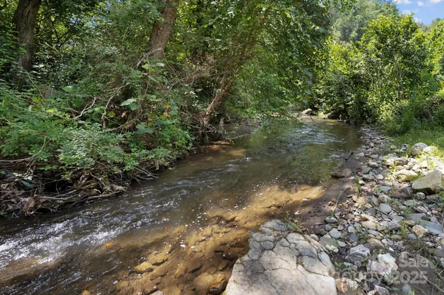 a view of a forest with a lake