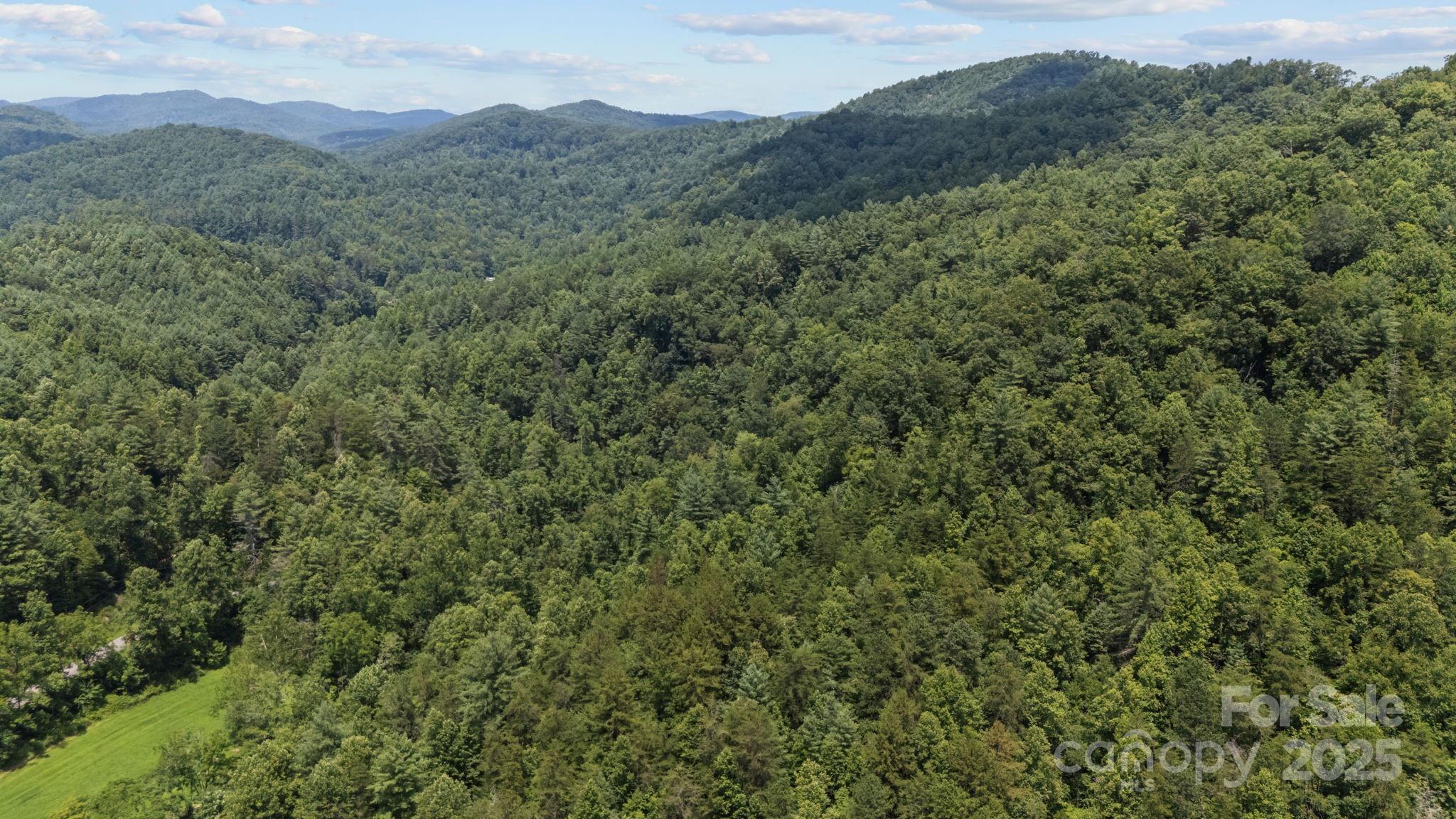 1296 Sheets Gap Road Millers Creek, NC 28651 - Photo 11 of 14 a view of a mountain range with lush green forest