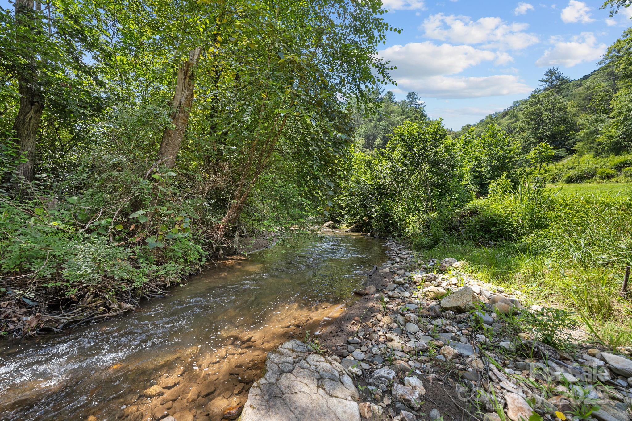 1296 Sheets Gap Road Millers Creek, NC 28651 - Photo 12 of 14 a view of a forest with lots of trees