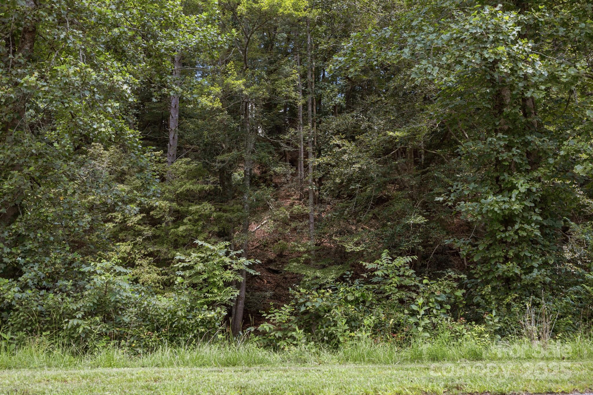 1296 Sheets Gap Road Millers Creek, NC 28651 - Photo 14 of 14 a view of a field of grass and trees