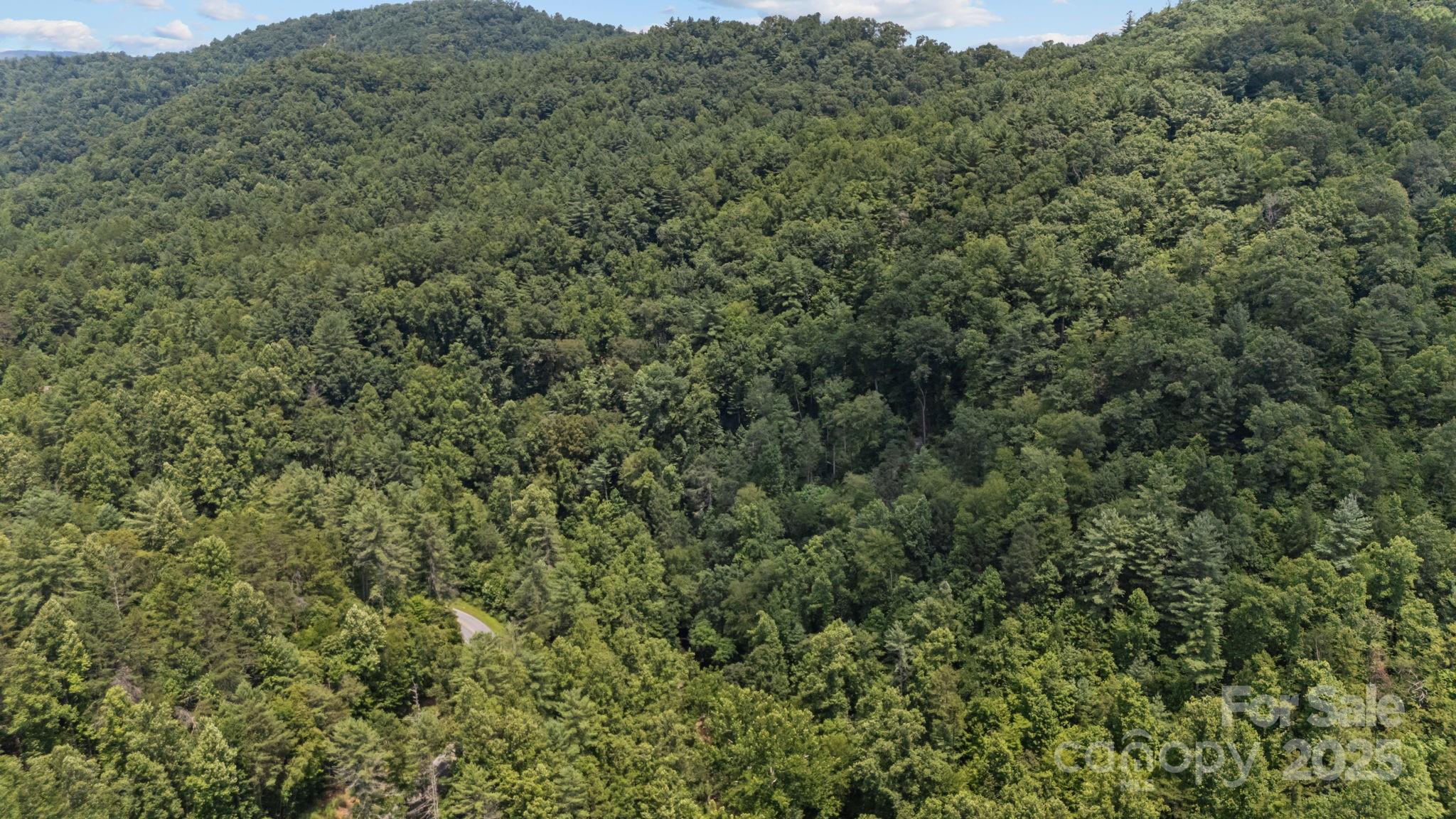 1296 Sheets Gap Road Millers Creek, NC 28651 - Photo 3 of 14 an aerial view of a house with a lush green forest