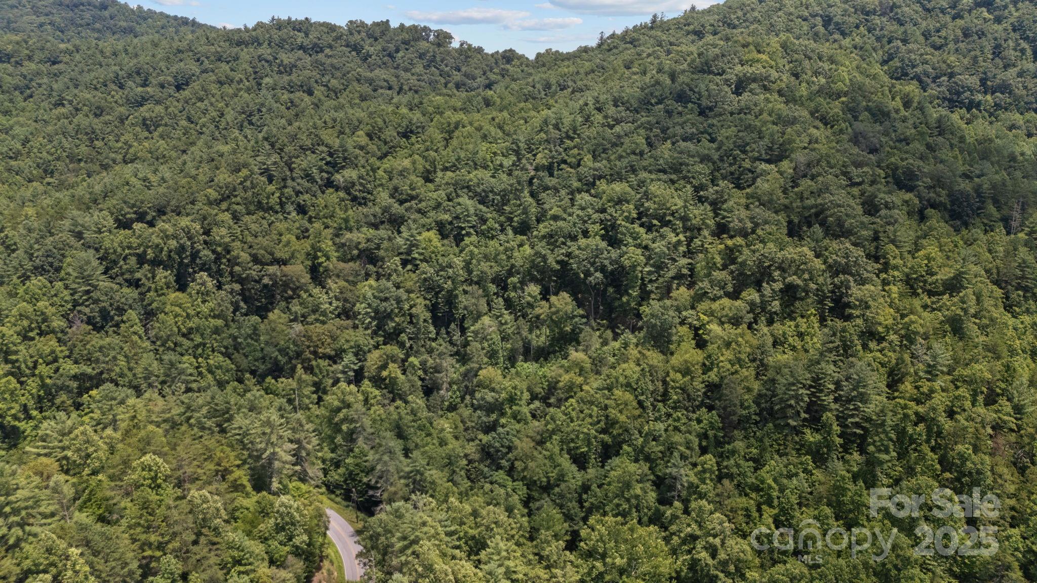 1296 Sheets Gap Road Millers Creek, NC 28651 - Photo 4 of 14 an aerial view of a house with a lush green forest