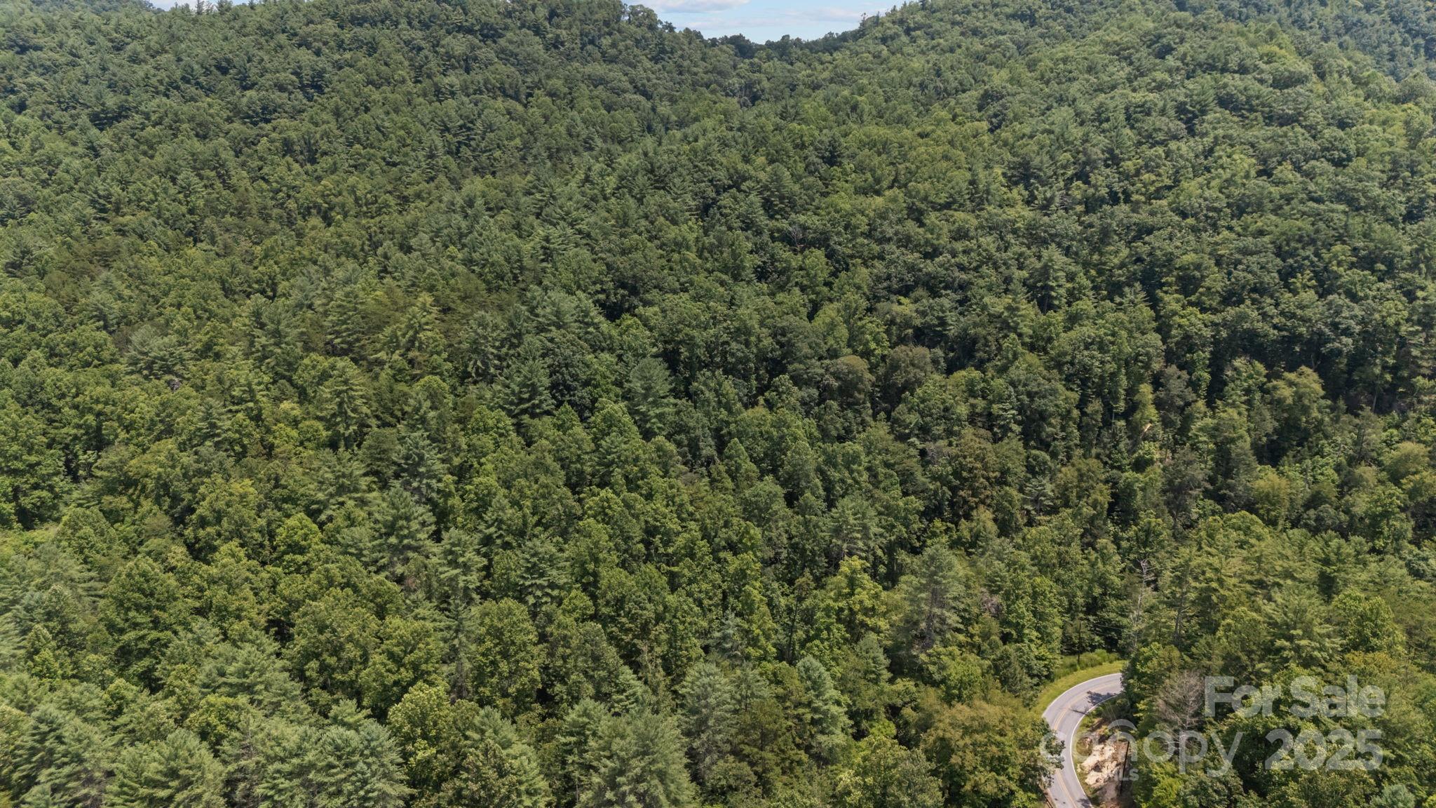 1296 Sheets Gap Road Millers Creek, NC 28651 - Photo 6 of 14 an outdoor view of house with green space