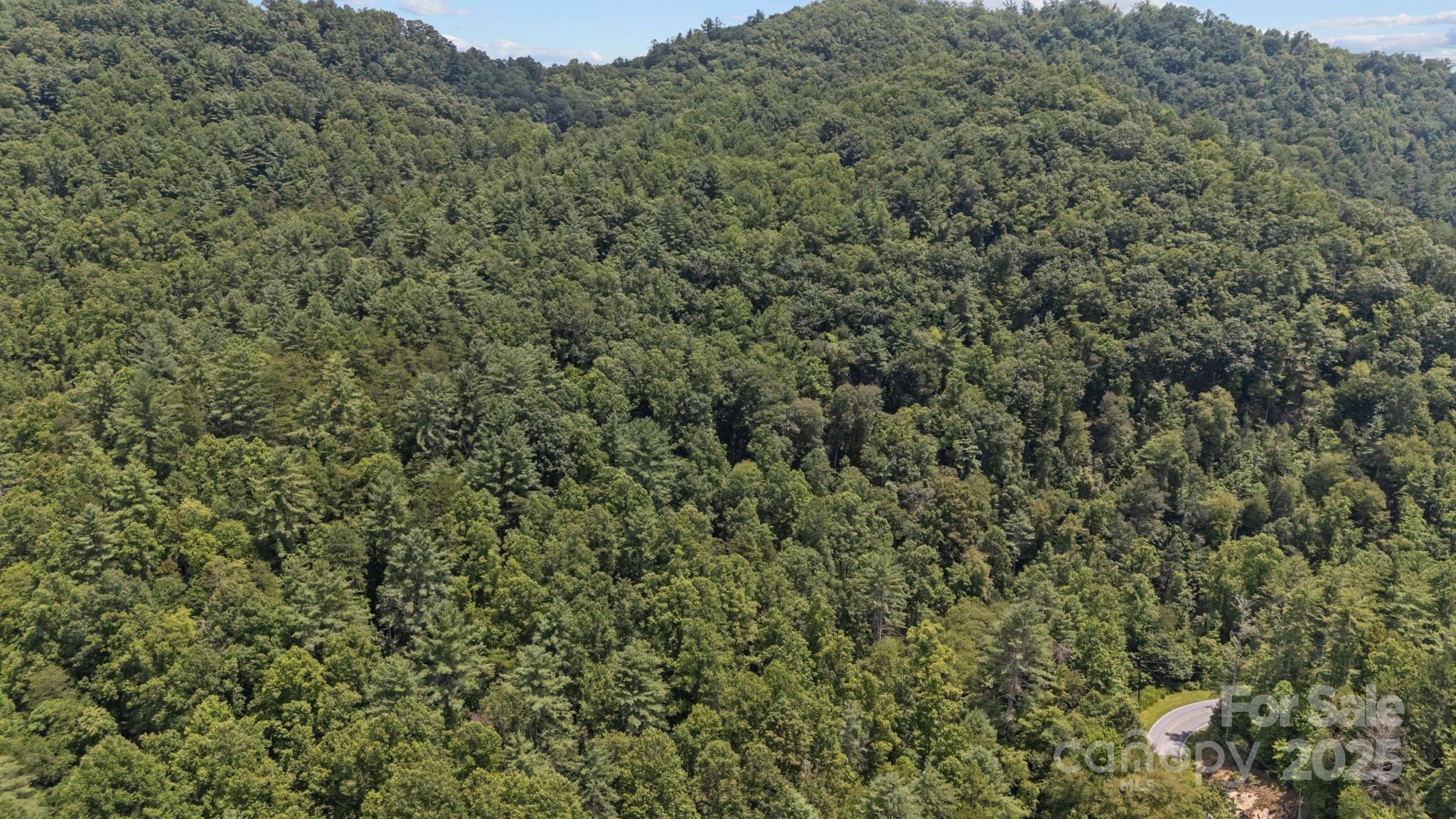 1296 Sheets Gap Road Millers Creek, NC 28651 - Photo 7 of 14 a view of a field of grass and trees