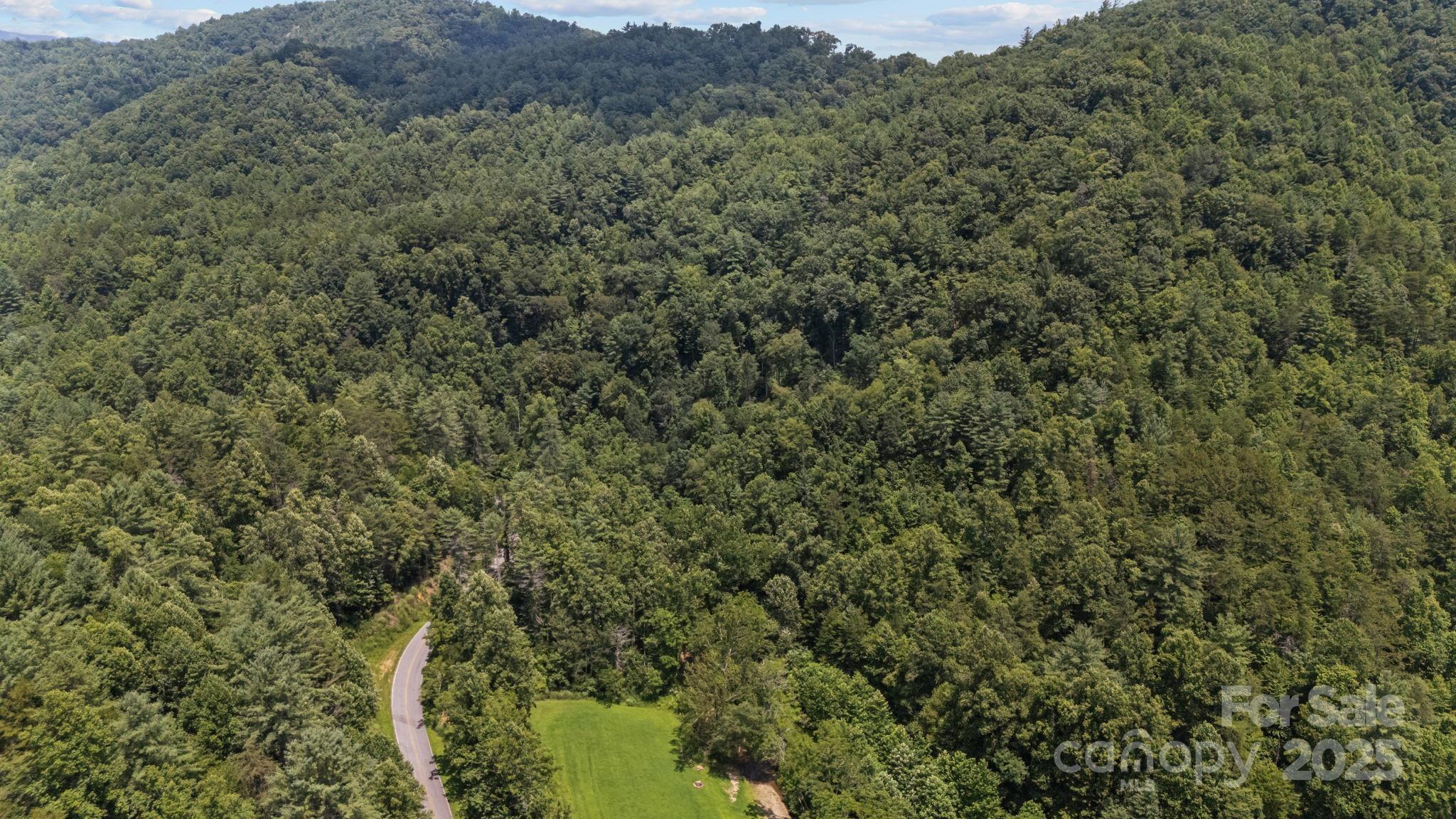 1296 Sheets Gap Road Millers Creek, NC 28651 - Photo 8 of 14 a view of a field of grass and trees