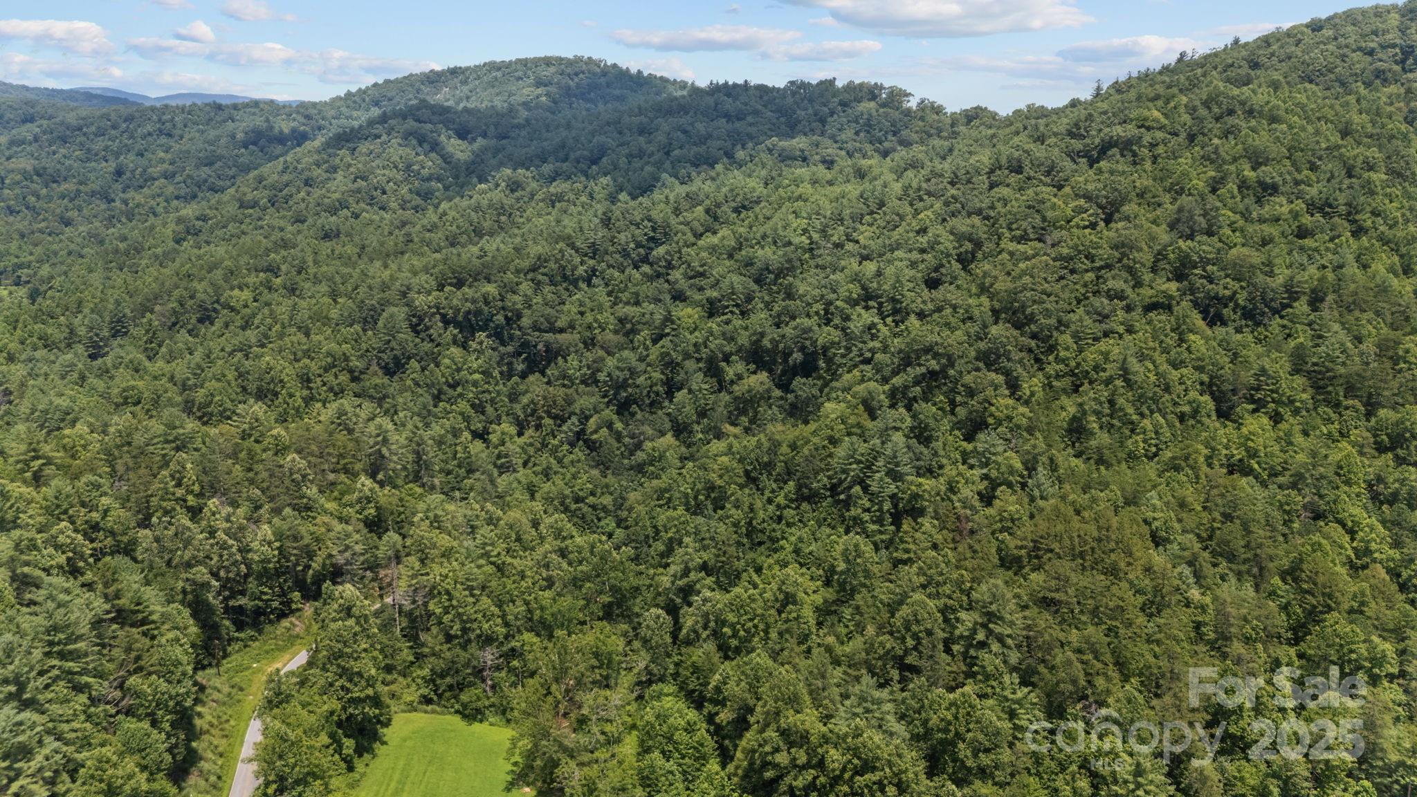 1296 Sheets Gap Road Millers Creek, NC 28651 - Photo 9 of 14 a view of a forest with a mountain in the background