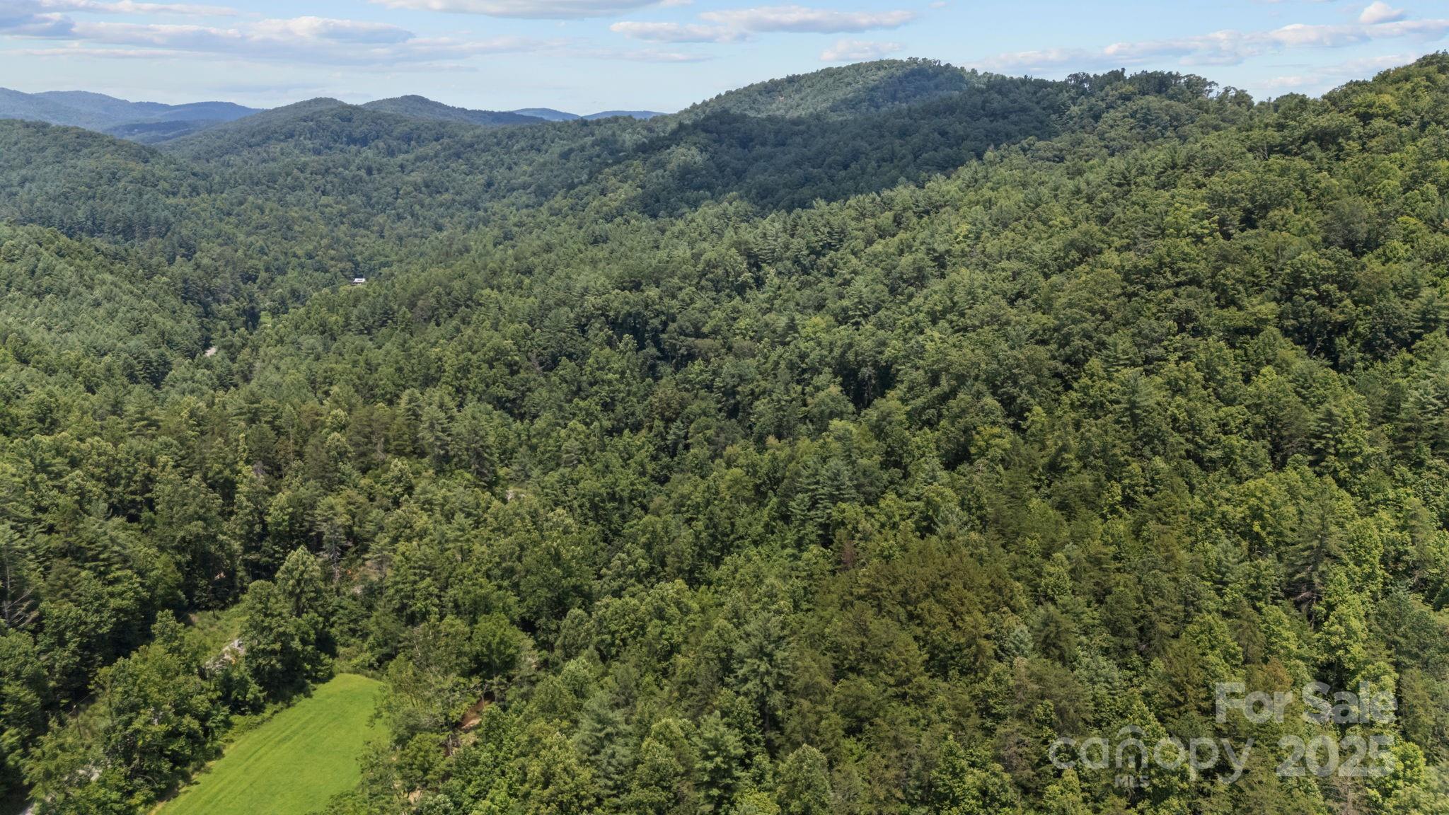 1296 Sheets Gap Road Millers Creek, NC 28651 - Photo 10 of 14 a view of a mountain in the distance in a field