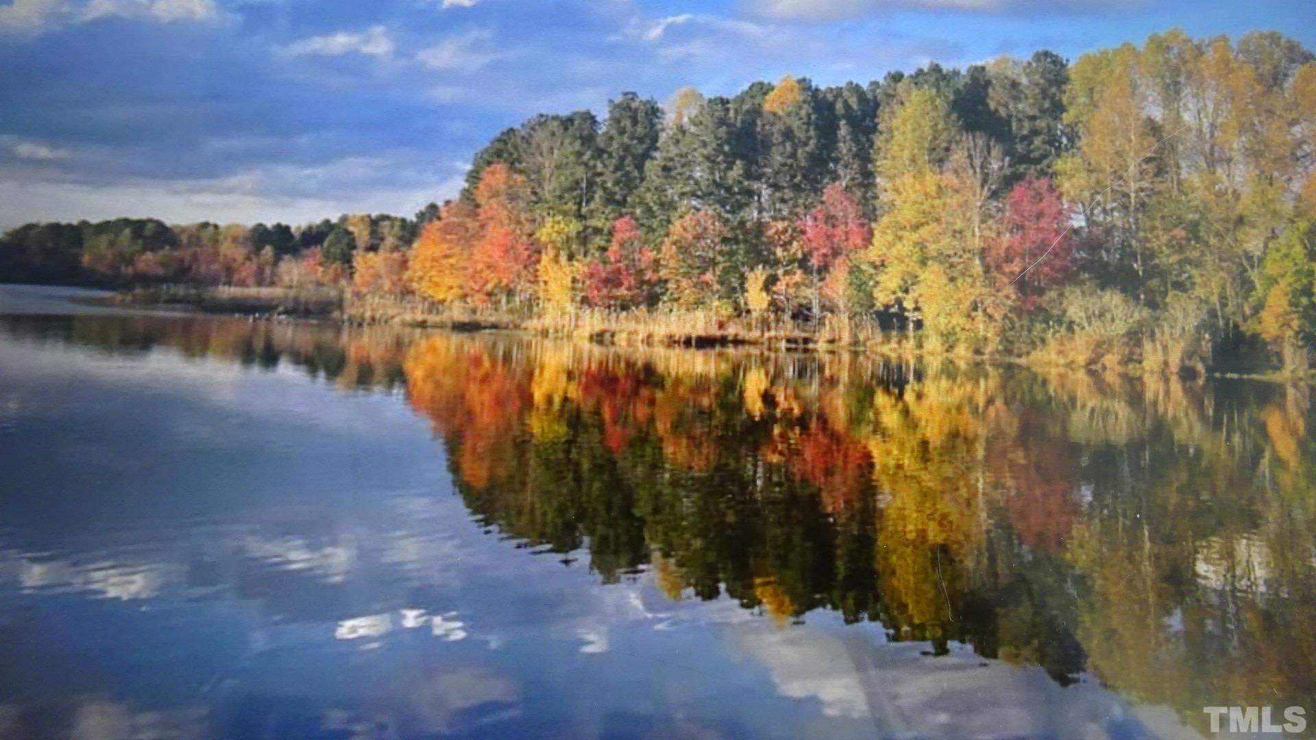 3508 Jones Lake Road Fuquay-Varina, NC 27526 - Photo 12 of 41 a view of lake