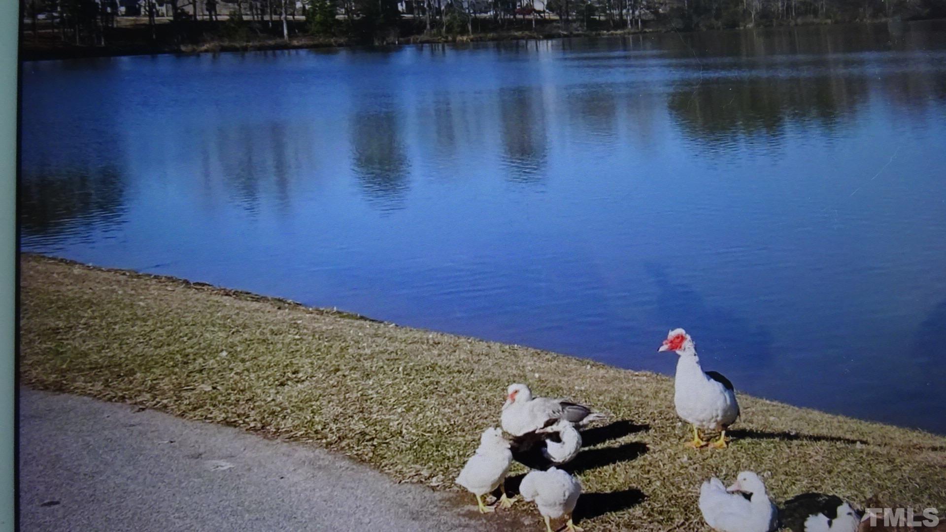 3508 Jones Lake Road Fuquay-Varina, NC 27526 - Photo 13 of 41