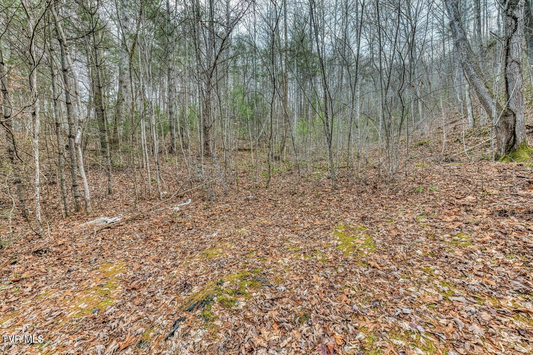 902 R D Campbell Road Butler, TN 37640 - Photo 7 of 18 20251222225332051567000000-o
