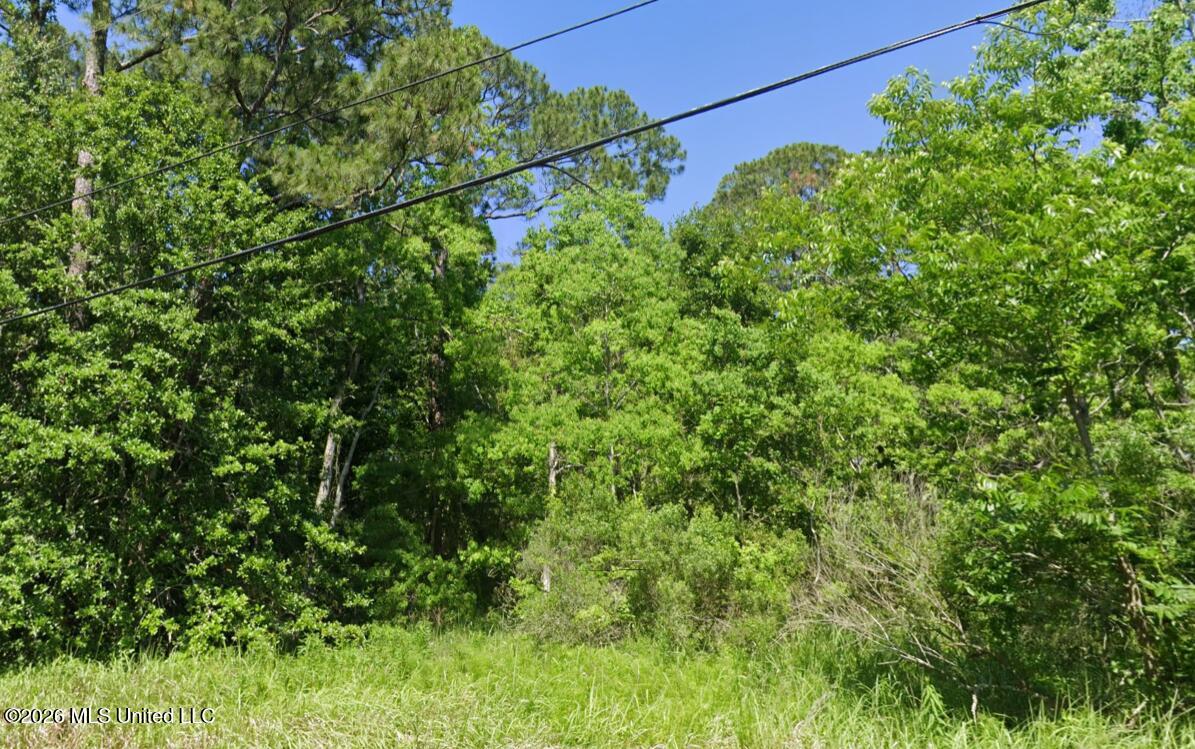 South 16th Street Ocean Springs, MS 39564 - Photo 1 of 2 1