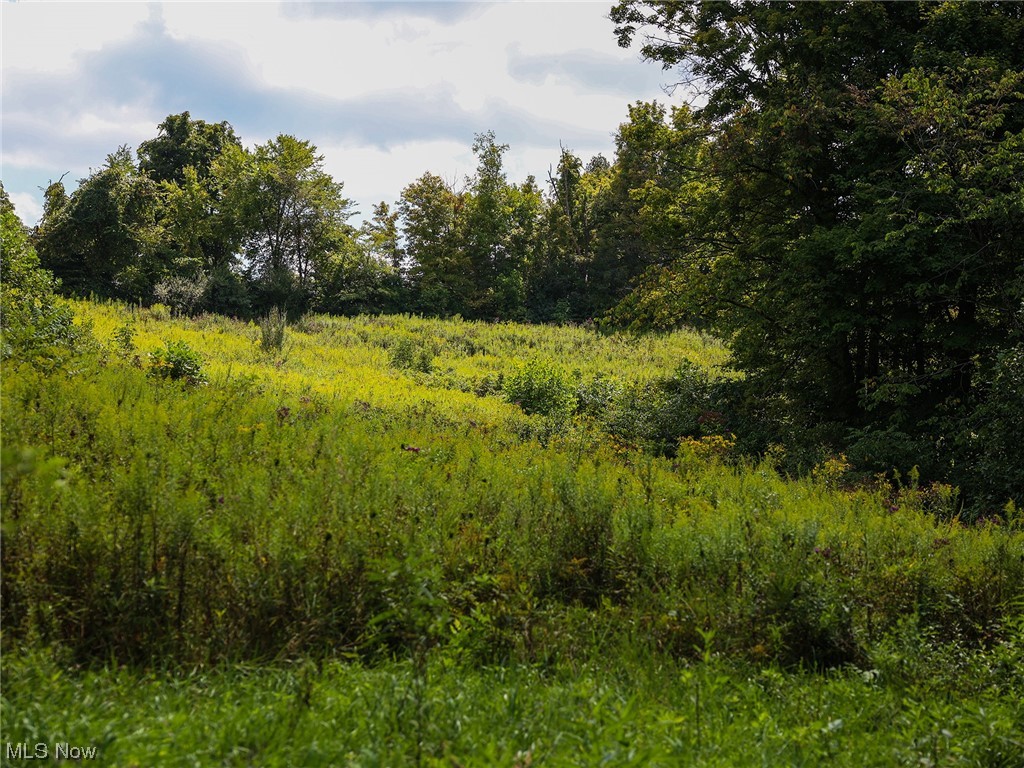 3789 Dixon Ridge Road Lowell, OH 45744 - Photo 17 of 30 Gallery Image 17