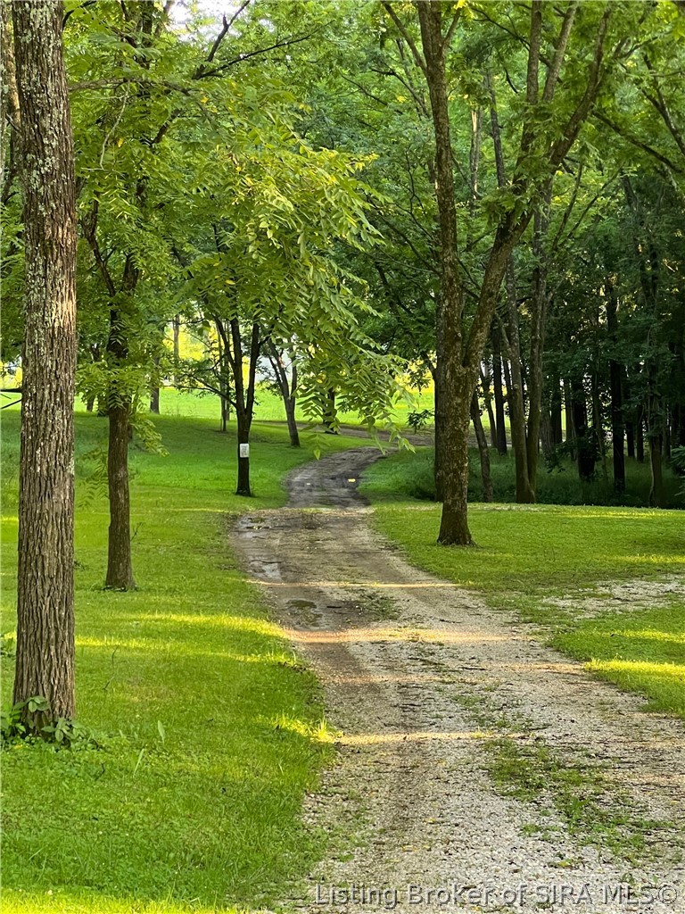 0 Maple Street Alton, IN 47137 - Photo 5 of 14 road to the property