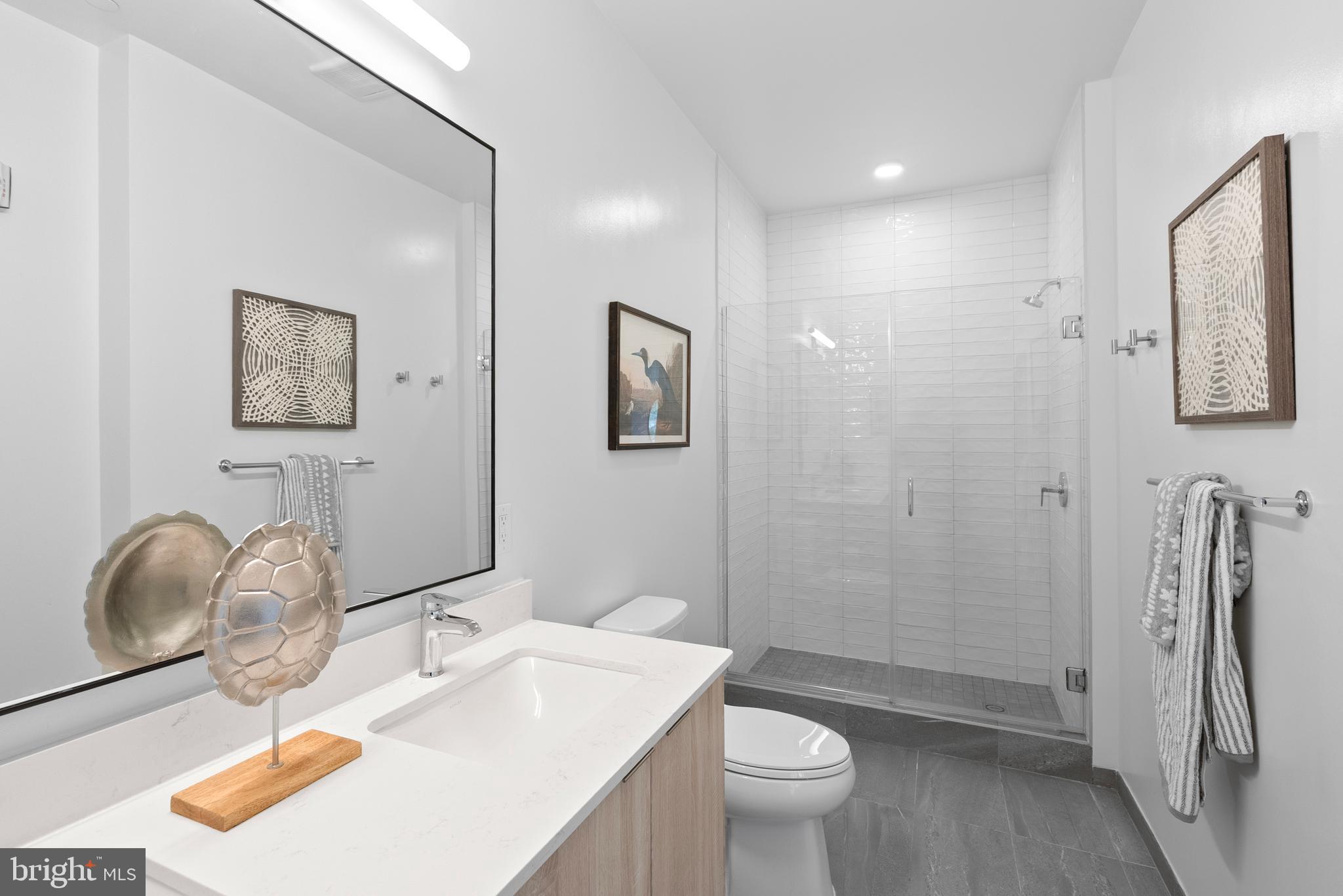 7175 12th Street Northwest, Unit 214 Washington, DC 20012 - Photo 21 of 49 a bathroom with a sink a toilet and mirror