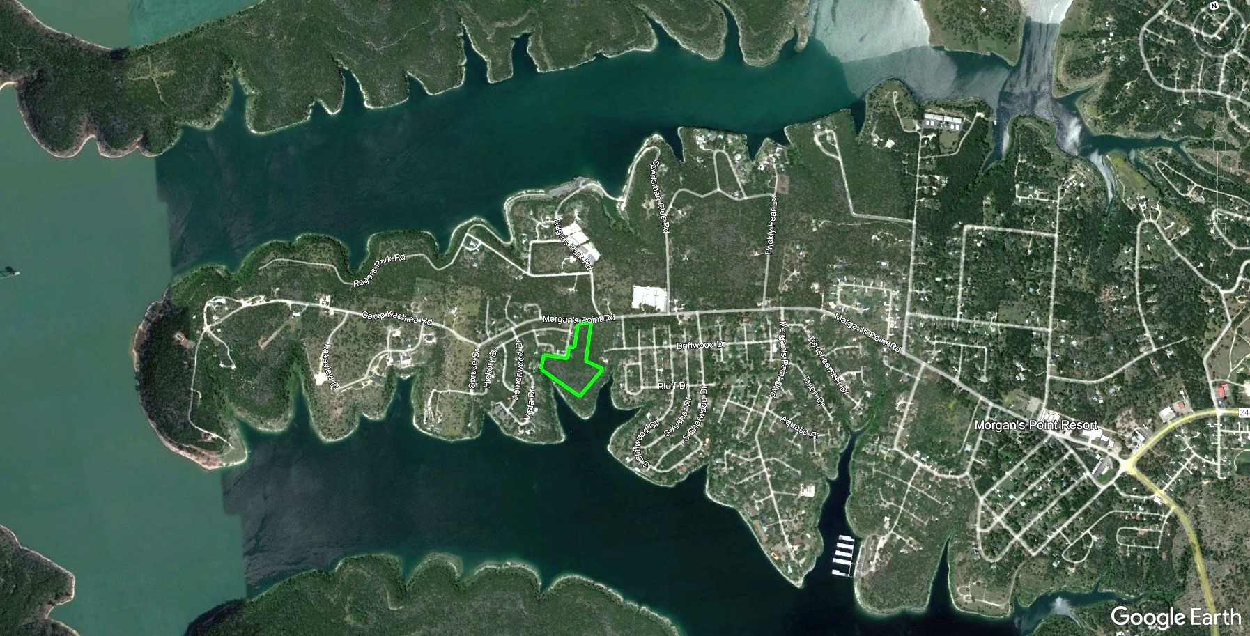 Tbd Morgan's Point Road Belton, TX 76513 - Photo 8 of 13 a close up of a plant in a garden