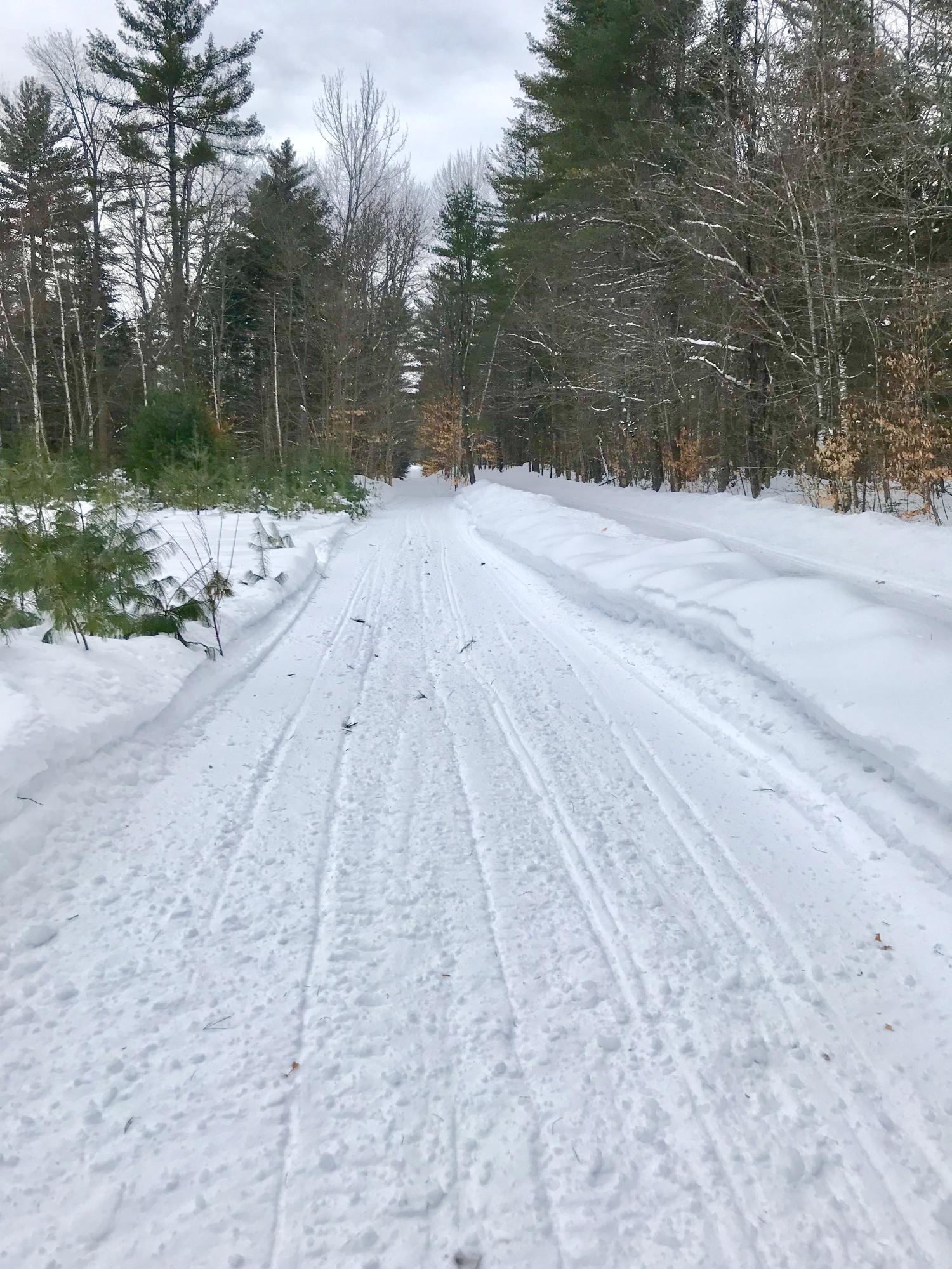 367 Railroad Bed Road Buckfield, ME 04220 - Photo 8 of 11 B6AA7CFC-CB5D-4E90-9680-4CB6599E793B