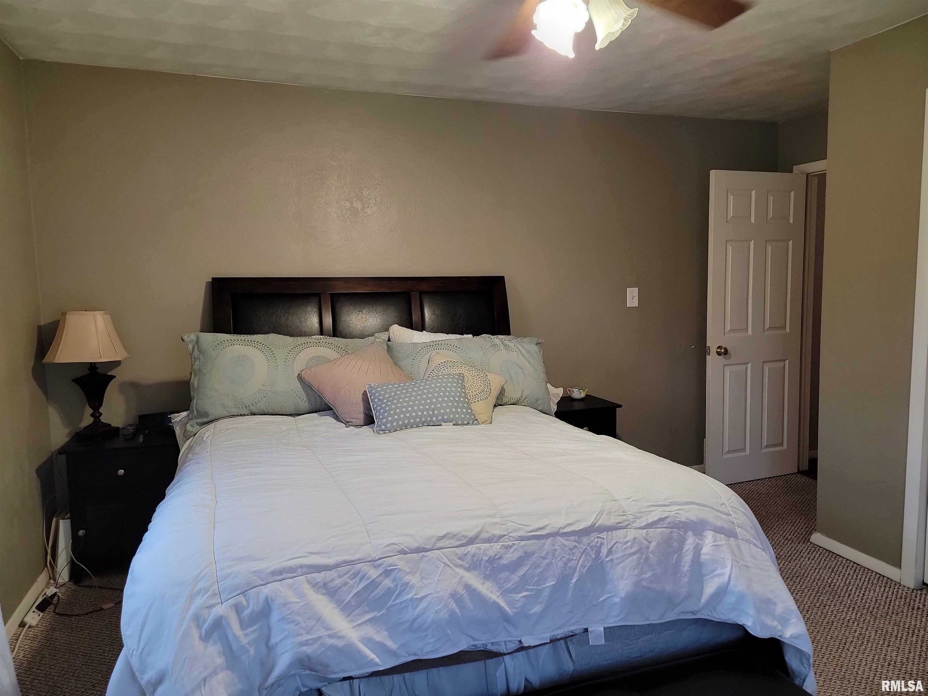 265 Maple Street Dunfermline, IL 61524 - Photo 10 of 60