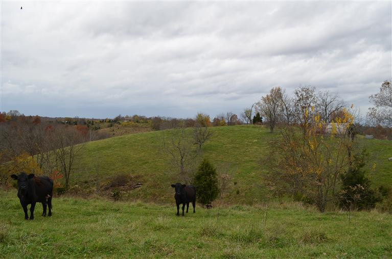 1075 Deep Creek Road Harrodsburg, KY 40330 - Photo 2 of 5 Photo 2