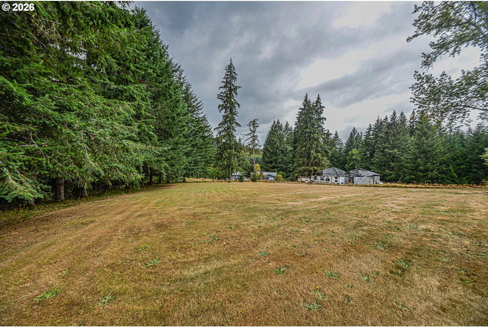 77339 Rutters Road Clatskanie, OR 97016 - Photo 24 of 24 Yard