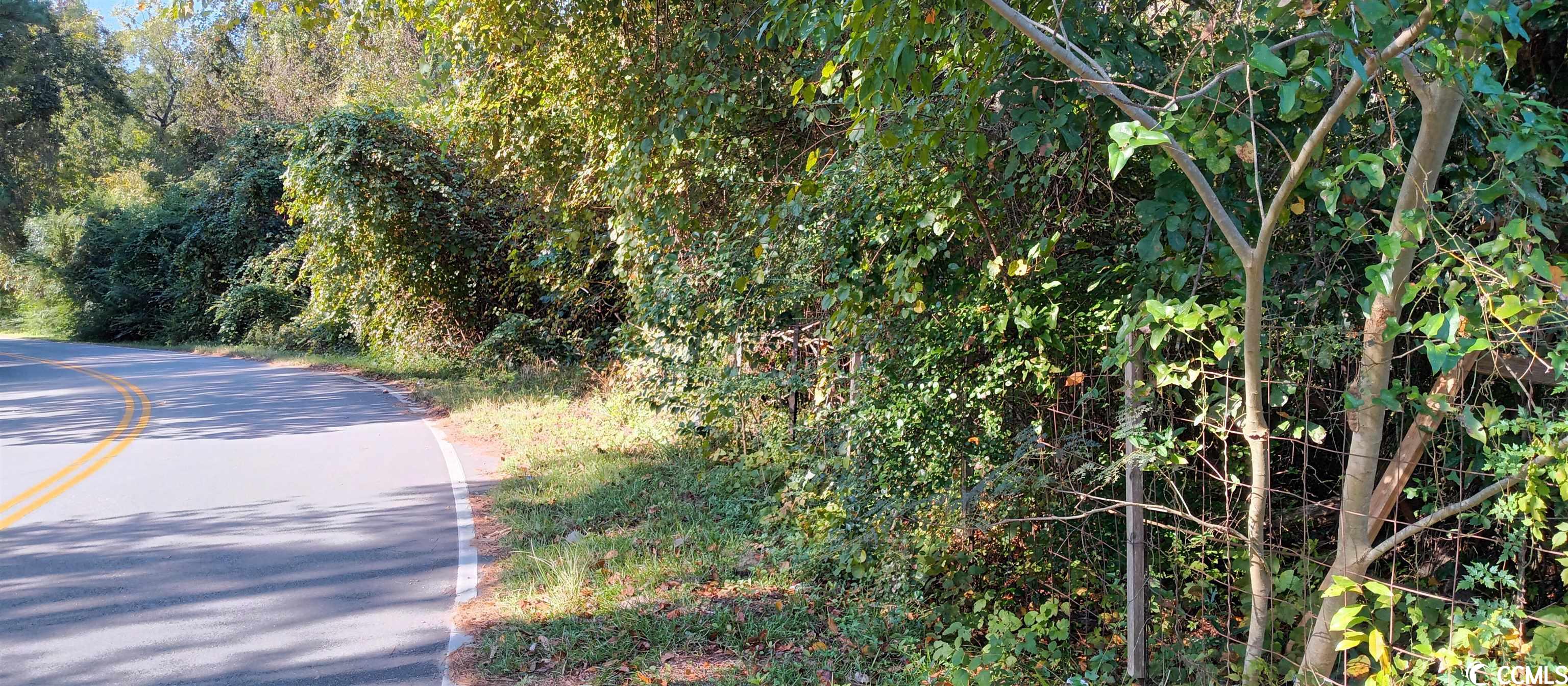 Academy Drive Conway, SC 29526 - Photo 2 of 5