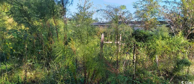 $218,000 | Academy Drive, Conway, SC 29526