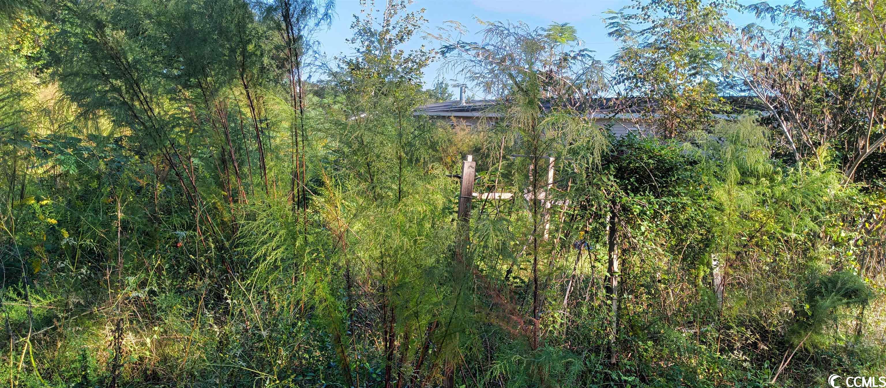 Academy Drive Conway, SC 29526 - Photo 3 of 5