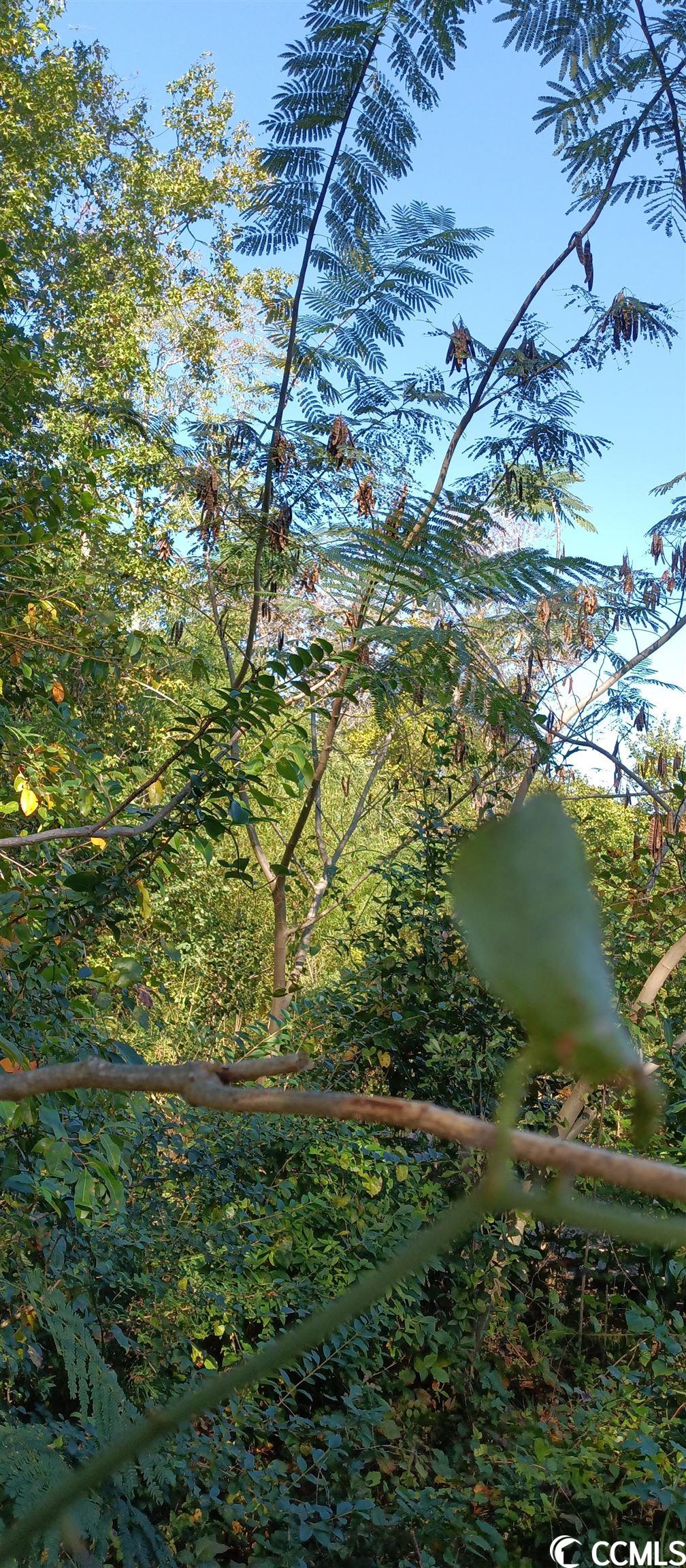 Academy Drive Conway, SC 29526 - Photo 4 of 5