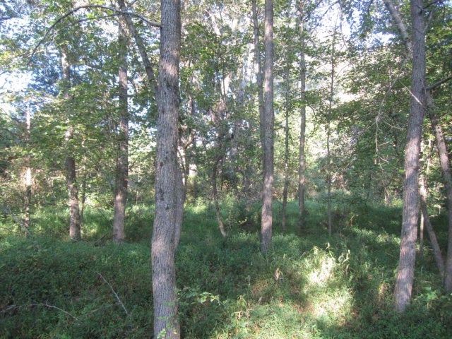 153 Mill Road Dry Fork, VA 24549 - Photo 26 of 28 Flats At Branch