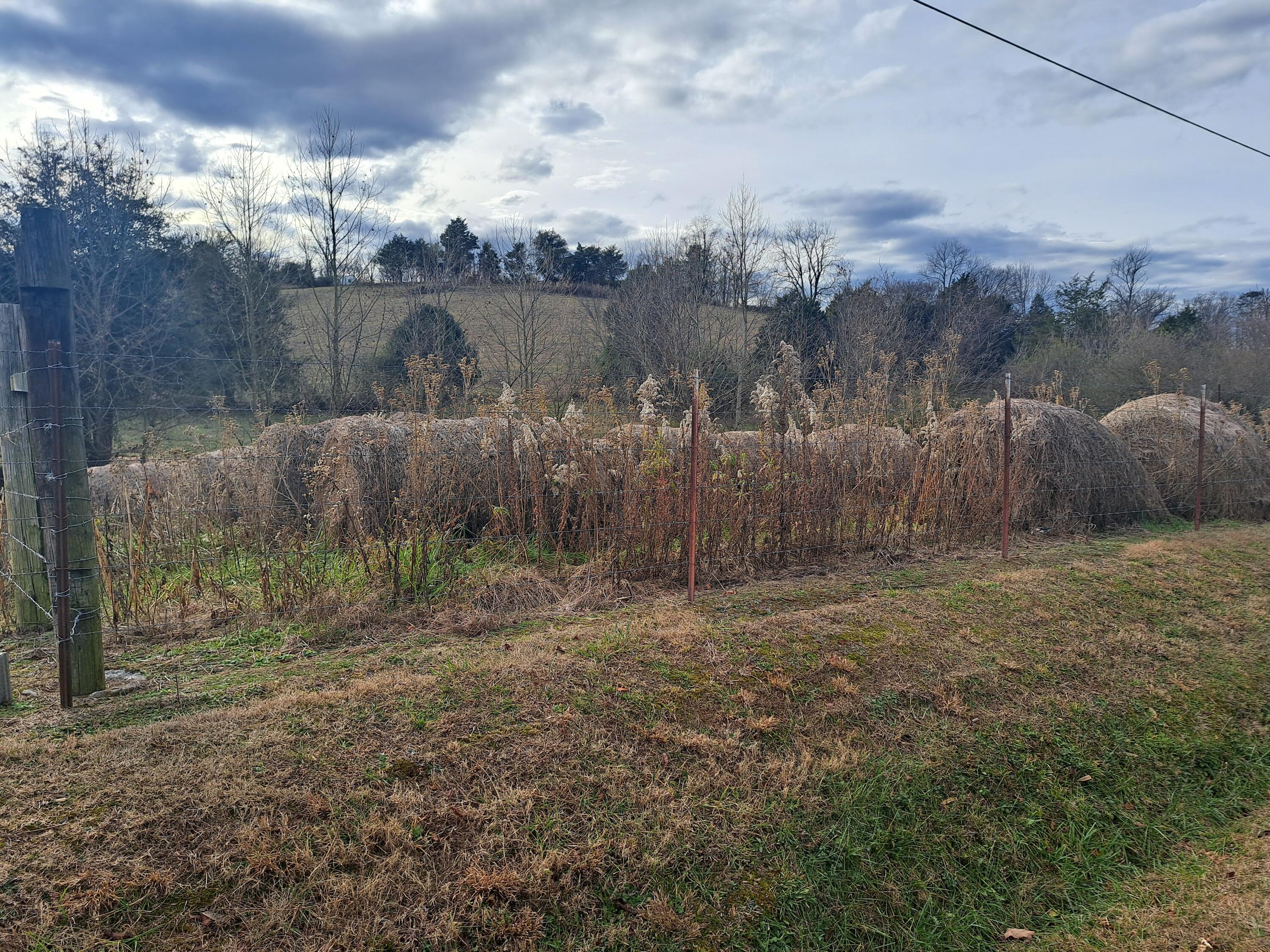 Tbd Greenway Road Limestone, TN 37681 - Photo 26 of 29 20231216_142317