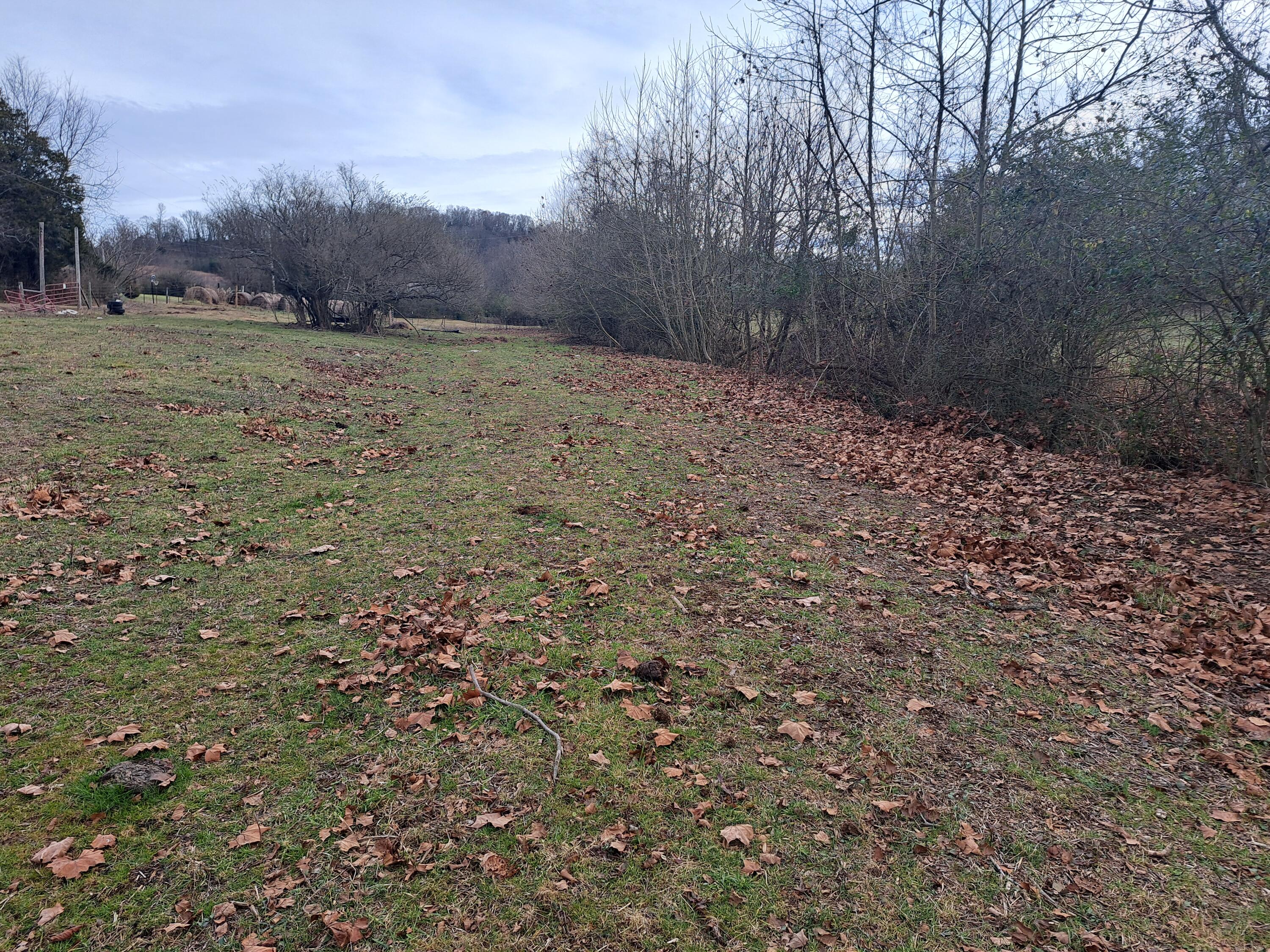 Tbd Greenway Road Limestone, TN 37681 - Photo 3 of 29 20231216_143555