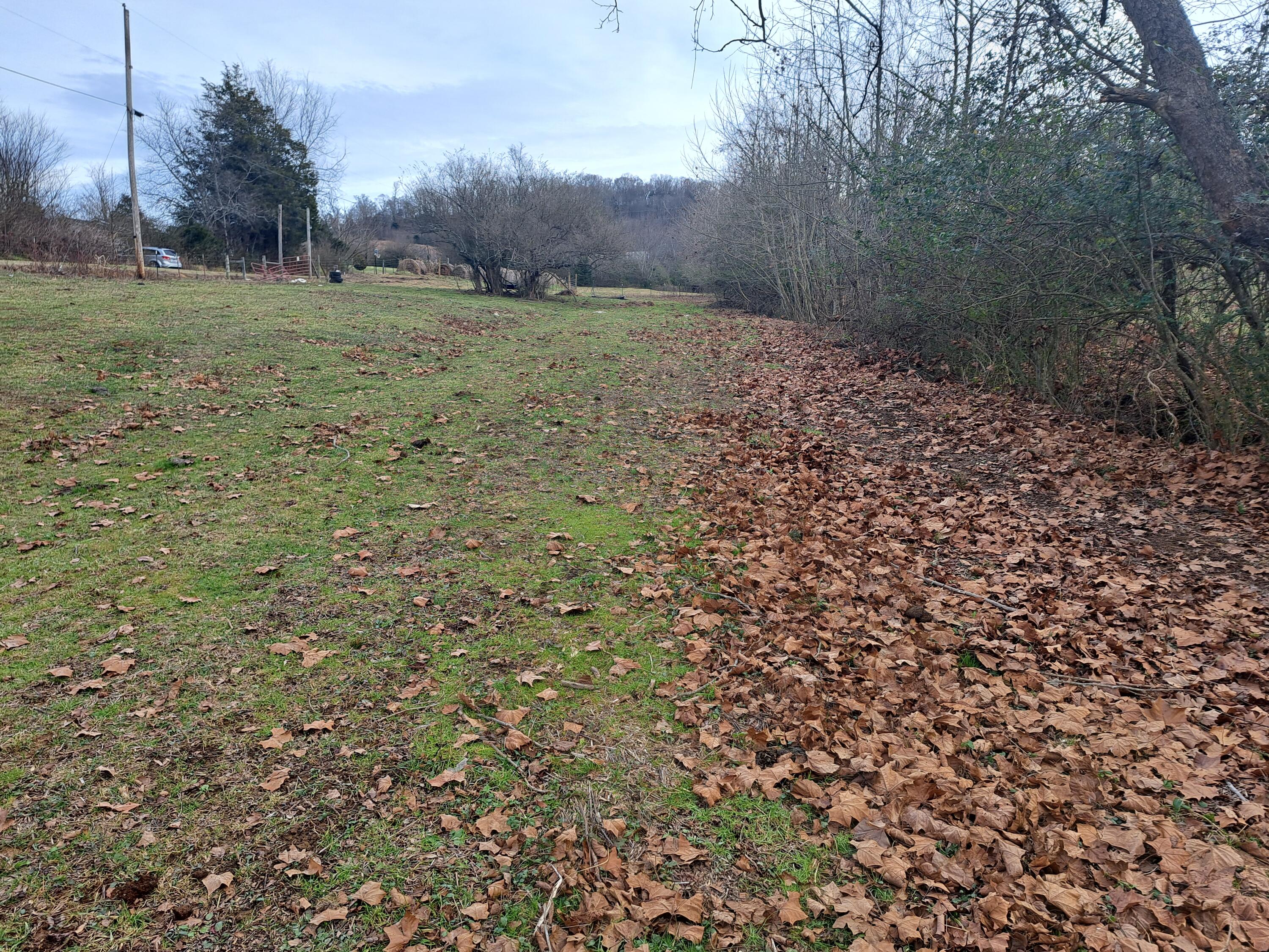 Tbd Greenway Road Limestone, TN 37681 - Photo 4 of 29 20231216_143539