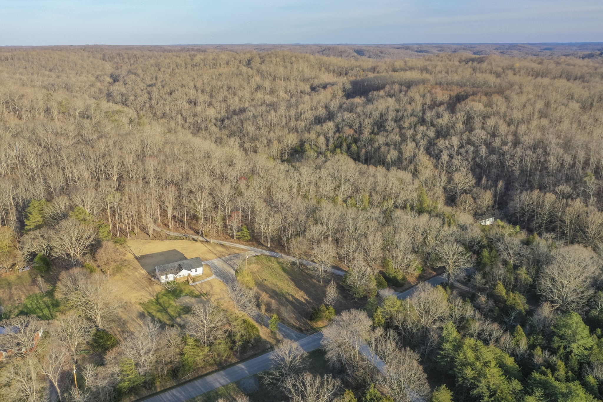 2115 Griffintown Road White Bluff, TN 37187 - Photo 46 of 60 Gallery Image 46