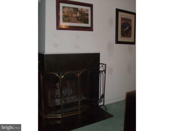 2052 Swans Neck Way Reston, VA 20191 - Photo 10 of 14 Fireplace