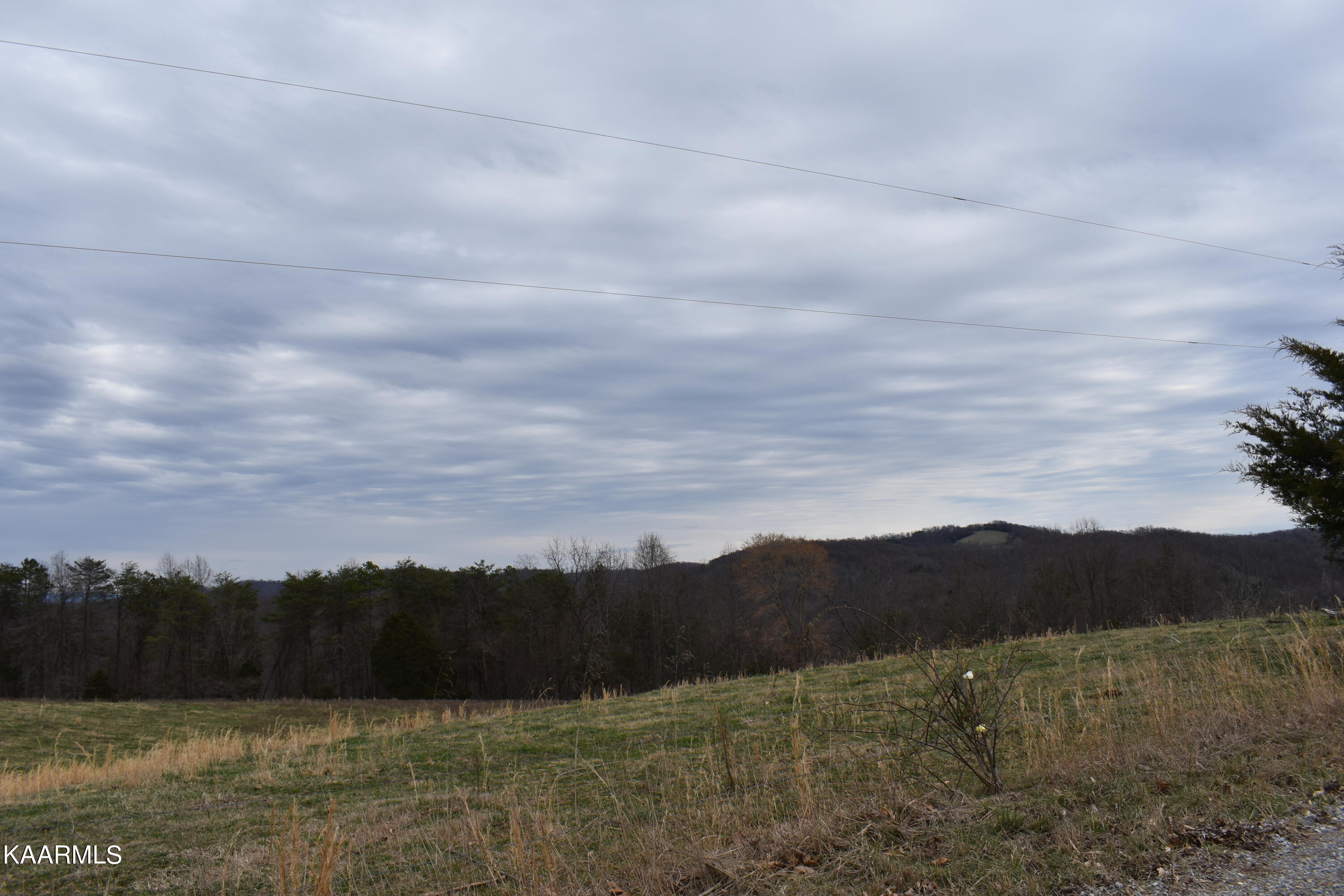 Lot 22 Jones Ridge Road Speedwell, TN 37870 - Photo 1 of 3 22 (2)