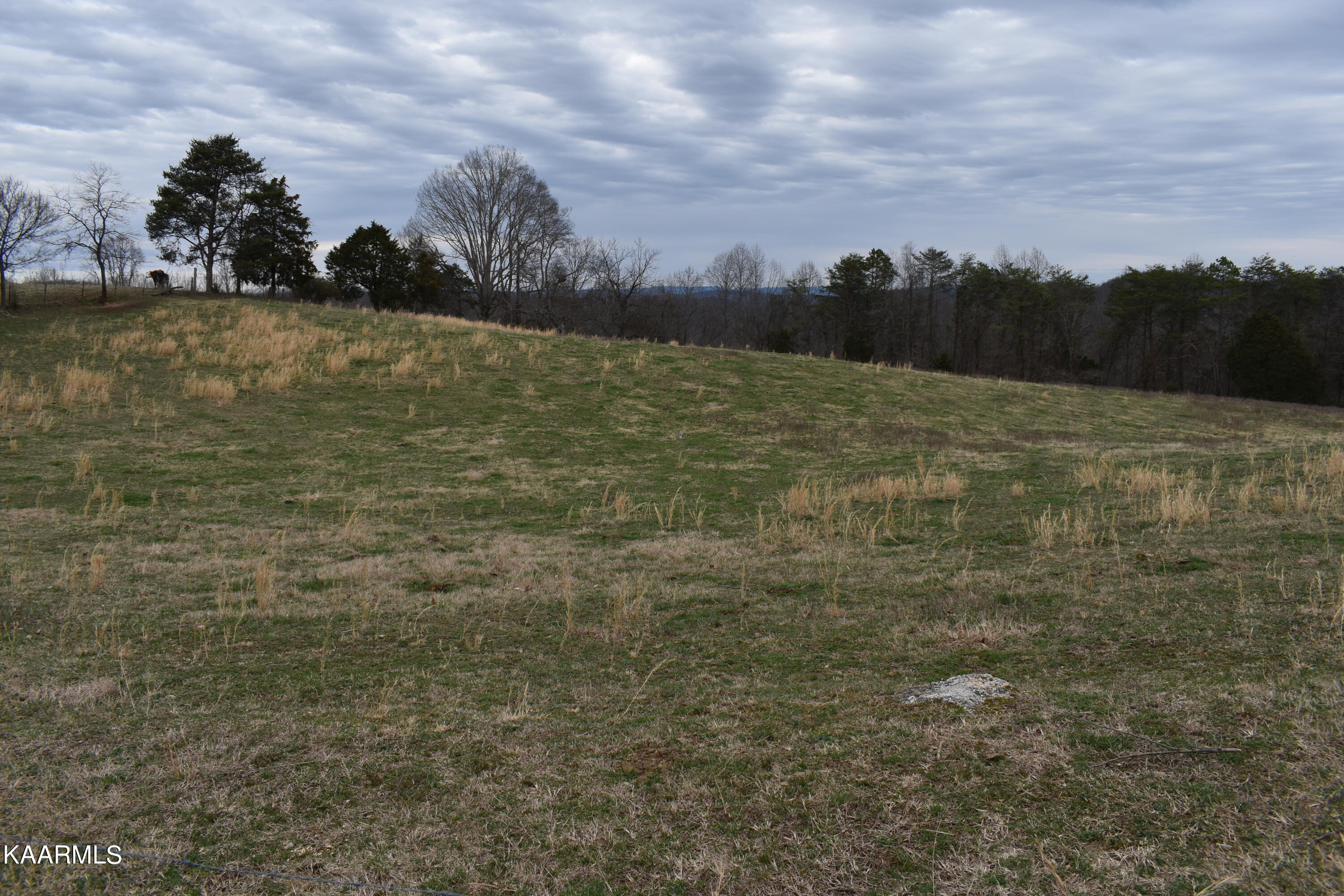 Lot 22 Jones Ridge Road Speedwell, TN 37870 - Photo 2 of 3 22