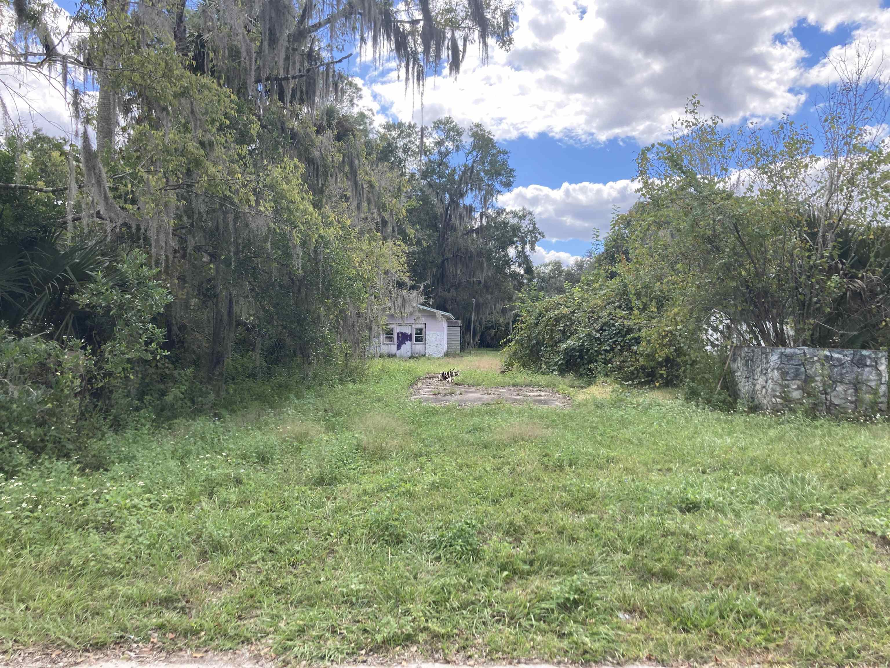 111 West Oak Street Palatka, FL 32177 - Photo 3 of 4 a backyard of a house with lots of green space