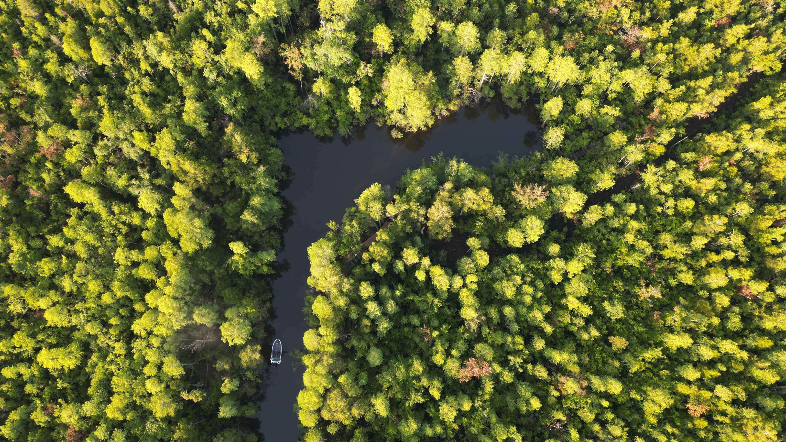 1050 Cedar Creek Landing Road Mount Vernon, AL 36560 - Photo 6 of 59 Aerial View