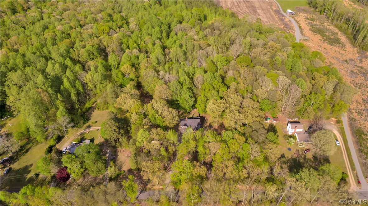 16116 Tyler Station Road Beaverdam, VA 23015 - Photo 3 of 50 a view of a yard