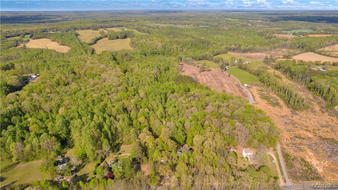 16116 Tyler Station Road Beaverdam, VA 23015 - Photo 47 of 50 a view of a pathway next to a yard