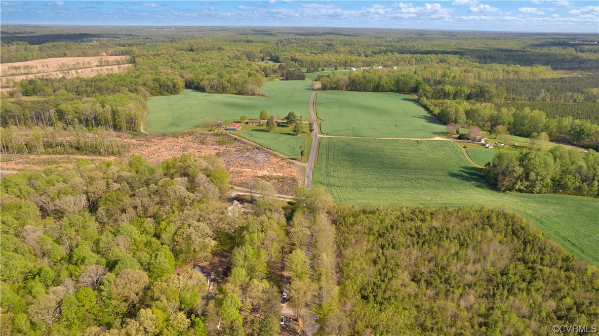 16116 Tyler Station Road Beaverdam, VA 23015 - Photo 48 of 50 a view of a lake with a mountain