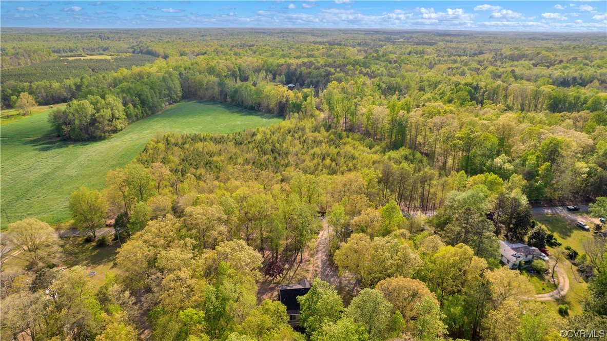 16116 Tyler Station Road Beaverdam, VA 23015 - Photo 49 of 50 a view of an outdoor space and a lake view