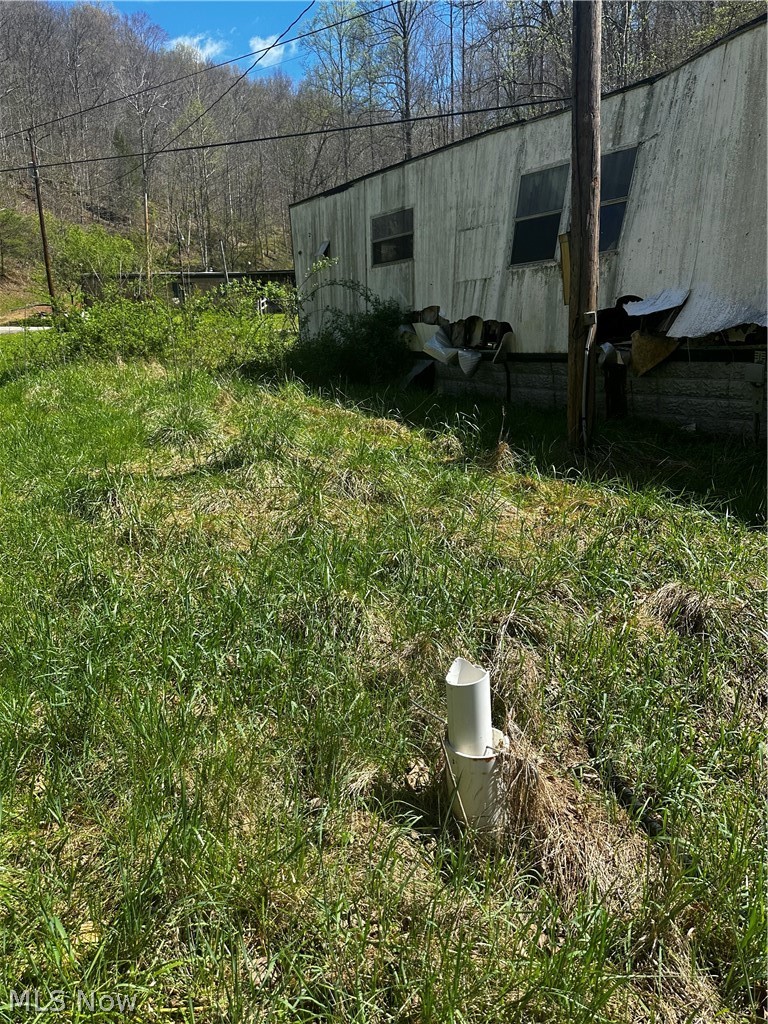994 Sugarcamp Road Big Bend, WV 26136 - Photo 13 of 50 View of yard